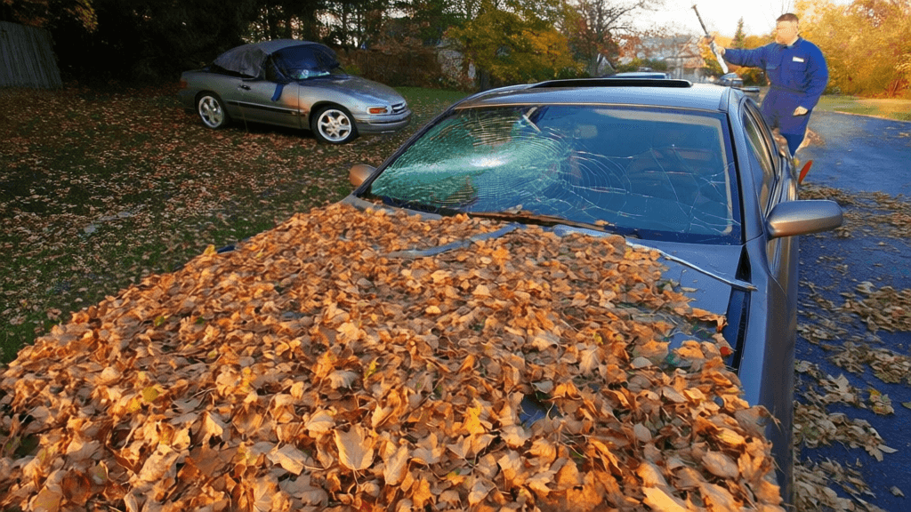 Does Full Glass Coverage Pay for Windshield Repair or Replacement in Plainview?